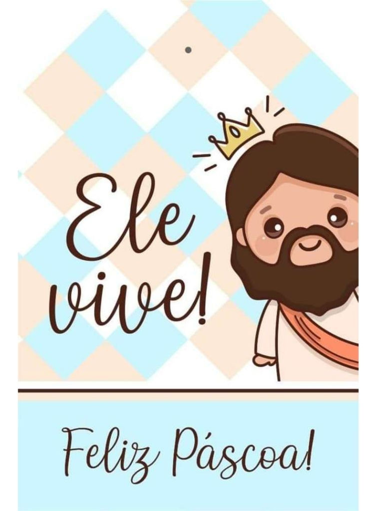 Almofada Com Bolso - Feliz Páscoa 19*15cm(ele vive)