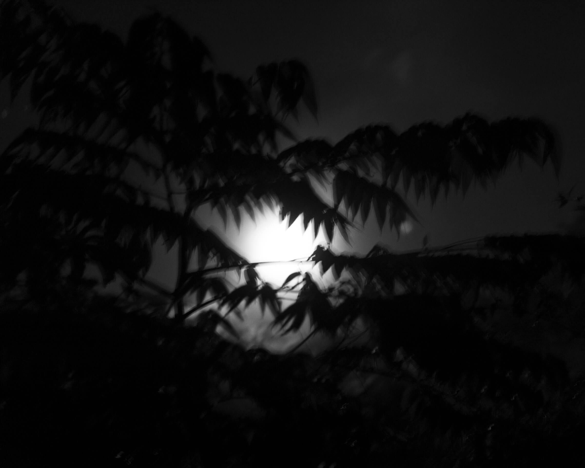 Moon Bath Archival Print