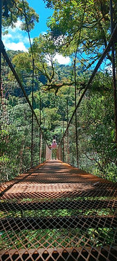 canopy 2.jpg
