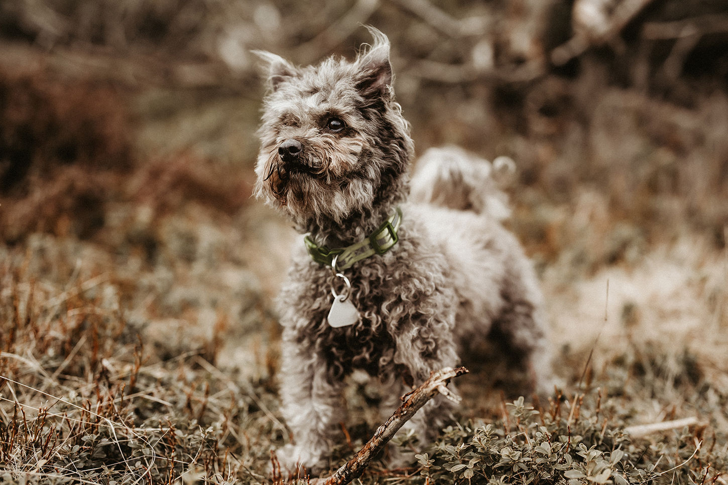 Familienshooting Nicky Wahle NRW -08521.jpg