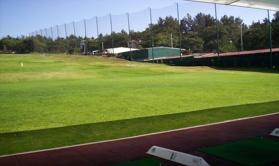Miniatura: REDES DEPORTIVAS