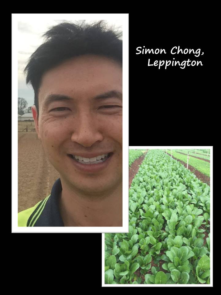 Fullscreen Page BOX DIVVY