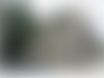 When “Due Diligence” Isn’t Due Diligence