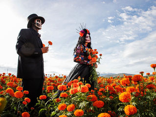 Día de Muertos en Jalisco, más de 350 experiencias para vivirlo.
