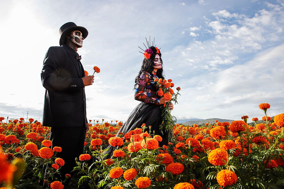 Día de Muertos en Jalisco, más de 350 experiencias para vivirlo.