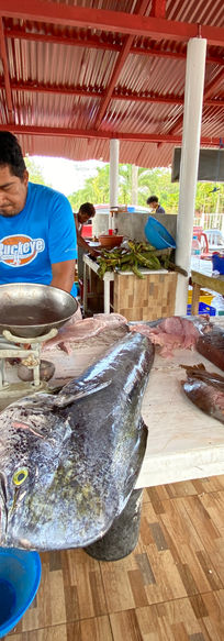 53. Fish Market3.JPG