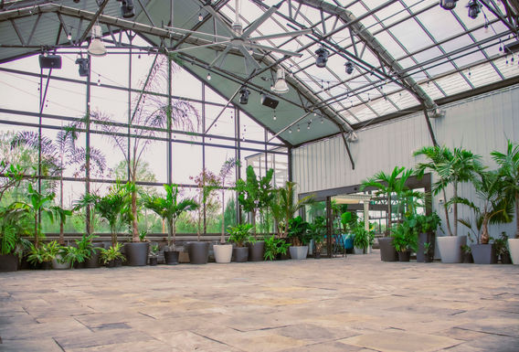 Greenhouse 02.jpg