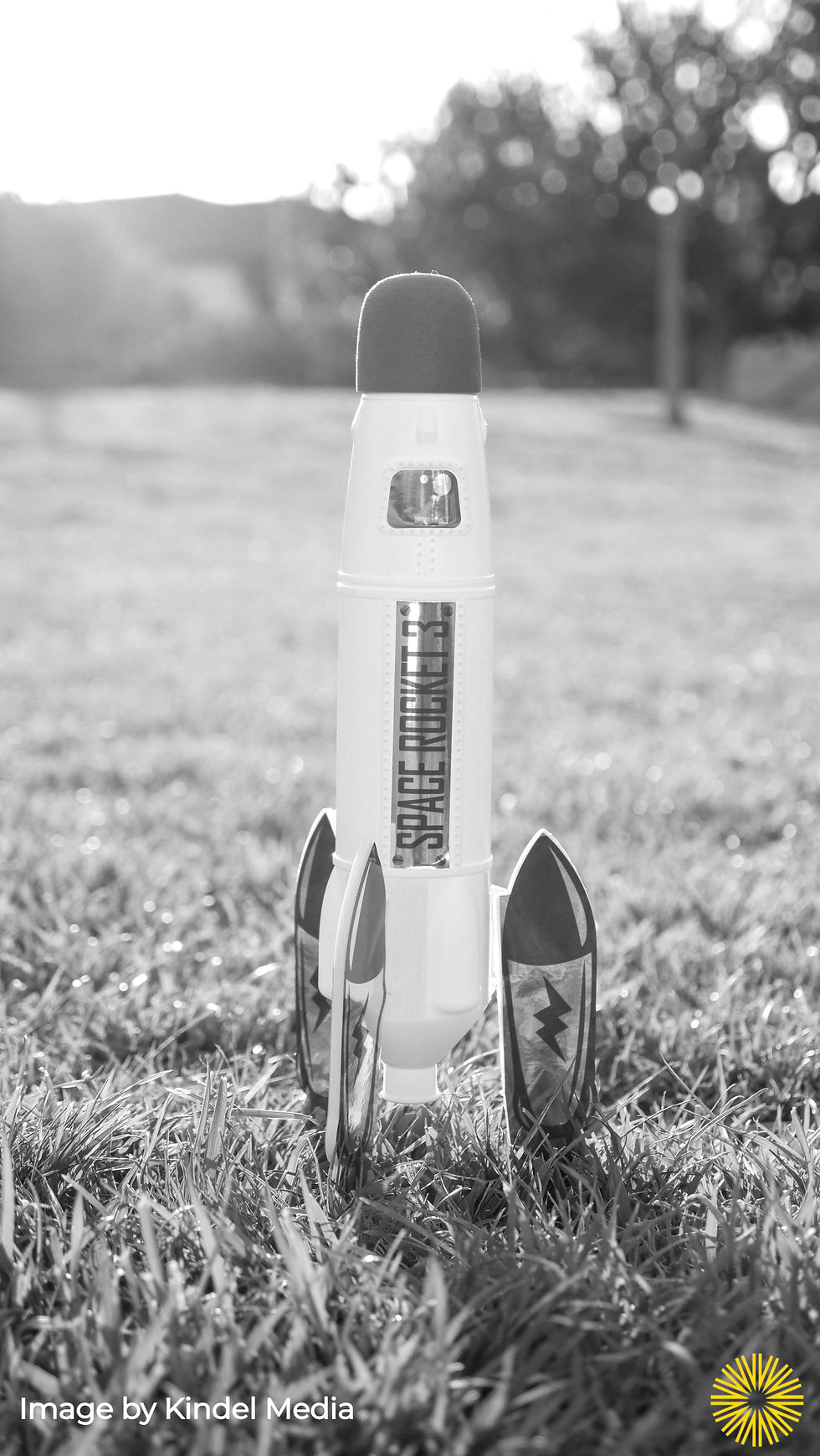 Should You Join an Accelerator