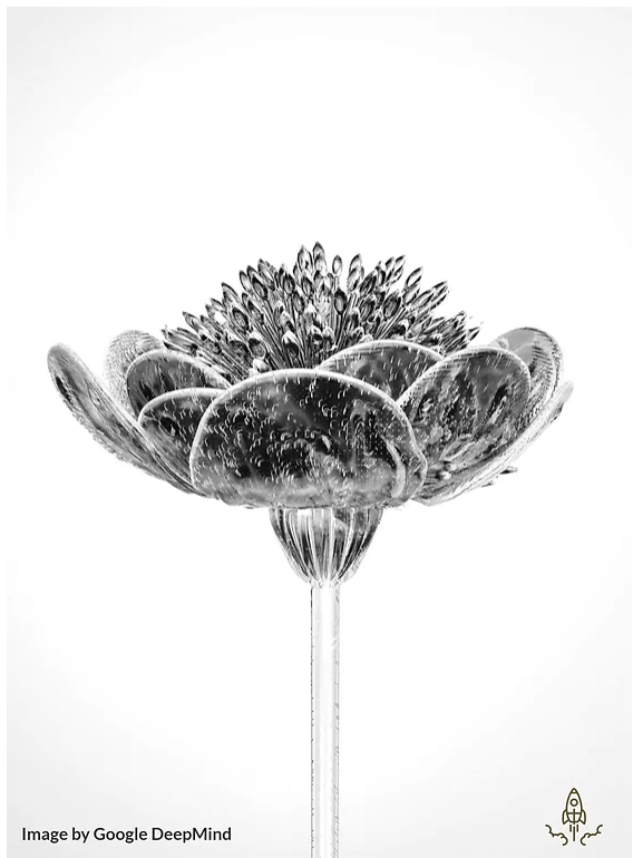 An arresting flower multiple petals and a long stem