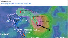 Sao ngộ hén. Hôm tối thứ 7 thì tự dưng Tammie sung lên làm video bên kênh tiếng anh