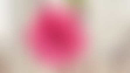 Bạn Ly, cựu thiền sinh chia sẻ