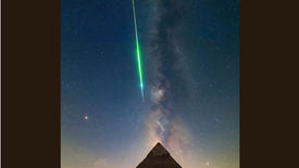 Thông tin này từ trang X của Elon Musk cũng xác nhận nha