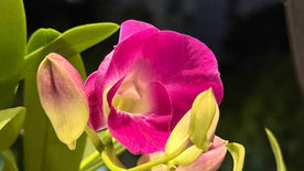 Bạn P. Thảo chia sẻ