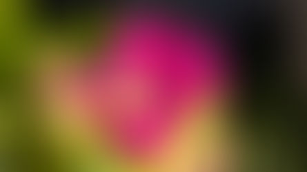 Bạn P. Thảo chia sẻ