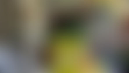 Cô Hoa Trần chia sẽ