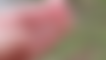 1 cựu thiền sinh ở Pháp chia sẻ