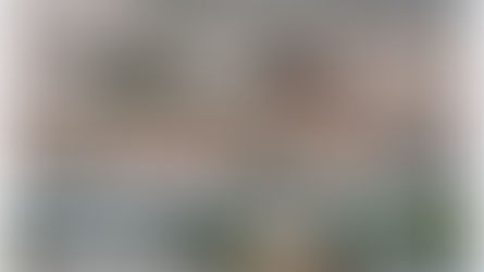 Tỉnh Punjab của Pakistan đang phải đối mặt với trận lũ lụt lớn nhất (Đại Hồng Thuỷ) trong lịch sử...