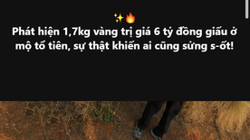 Chia sẻ