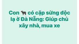 Hy vọng mọi người sẽ đầy đủ hơn, để không còn mua bán các bạn ấy nữa