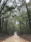 IMG_7115.jpeg