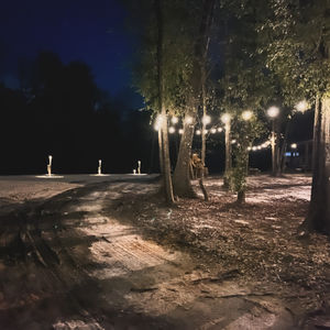 Campground lights