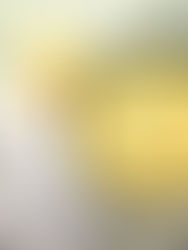 Loaded Cauliflower Soup