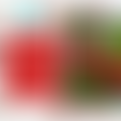 I Picked Sour Cherries! Now What Do I Do With Them?