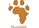 maiawildlife logo.png