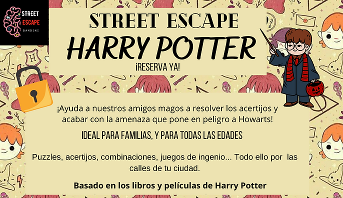 STREET ESCAPE HARRY POTTER.png