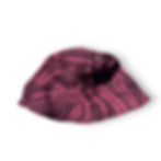 Thumbnail: Plover 