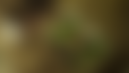 Тосты поданы, сэр