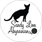 Sandy Lion Logo