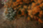 DTS_TONE_CHRIS-ABATZIS_00047.jpg