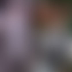 Yalitza Aparicio. Mediaticamente hablando ...