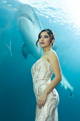 O C E A N    Q U E E N
Anoxia + Hipoxia & O2