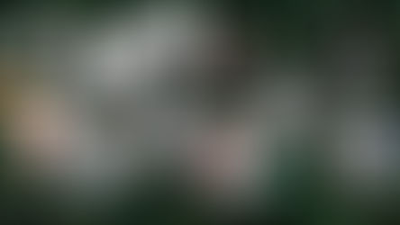 Fashion Days San Miguel de Allende anuncia su Séptima Edición de 6 al 8 de Noviembre del 2019.