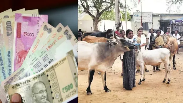 விவசாயிகளுக்கு ரூ.3,000 கோடி வட்டியில்லா கடன்! யாருக்கெல்லாம் கிடைக்கும்?