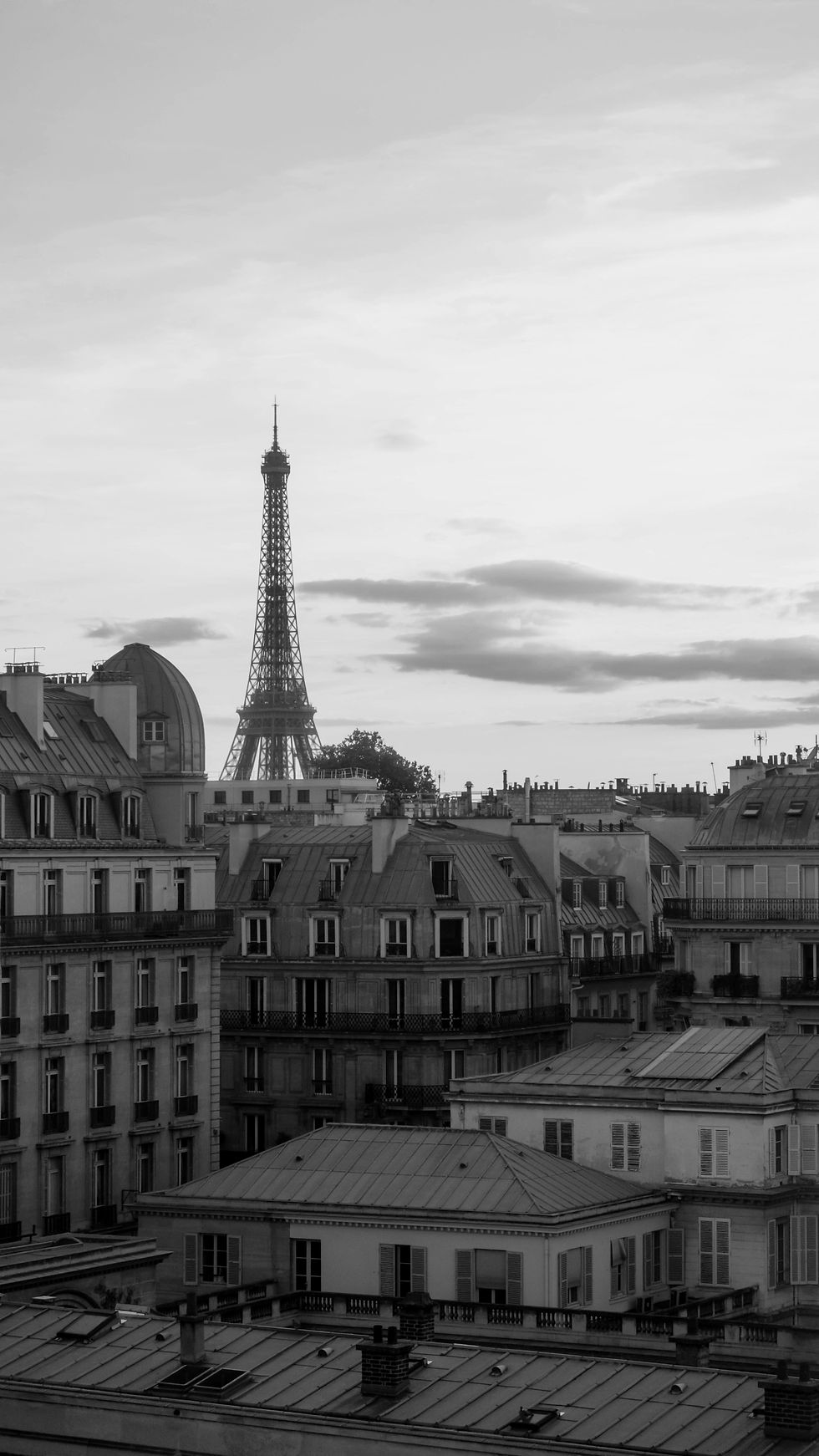 View of the Eiffel Tower
