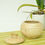 Thumbnail: bamboo pot, bowl, container, jar with lid, handmade wooden pot, brown