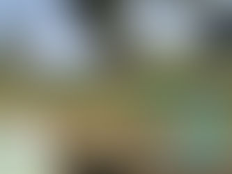 Continúan Jornadas de Limpieza en Lázaro Cárdenas