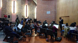 Camerata, Universidad Nacional de Colombia