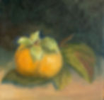 First Persimmon