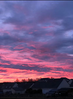 (par Maelys- Term SAPAT)- EPLFPA Bourges-Le Subdray