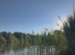 (par Myrtille- Term SAPAT) - EPLFPA Bourges-Le Subdray