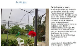 (par Louann, seconde SAPAT)- EPLFPA Bourges-Le Subdray