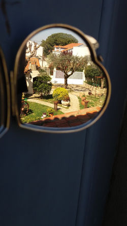 (par Aline PHALIPPOU-2de SAPAT)- LPA La Condamine de Pézenas