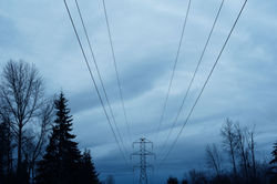 DSC_0325.jpg