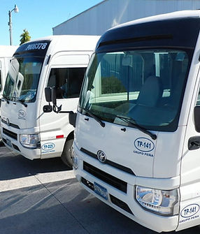 TOYOTA COASTER 22 A 26.jpeg