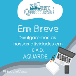 Desenvolvimento de atividades em E.A.D.