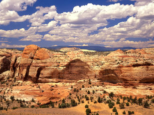 This Land Was Our Land
